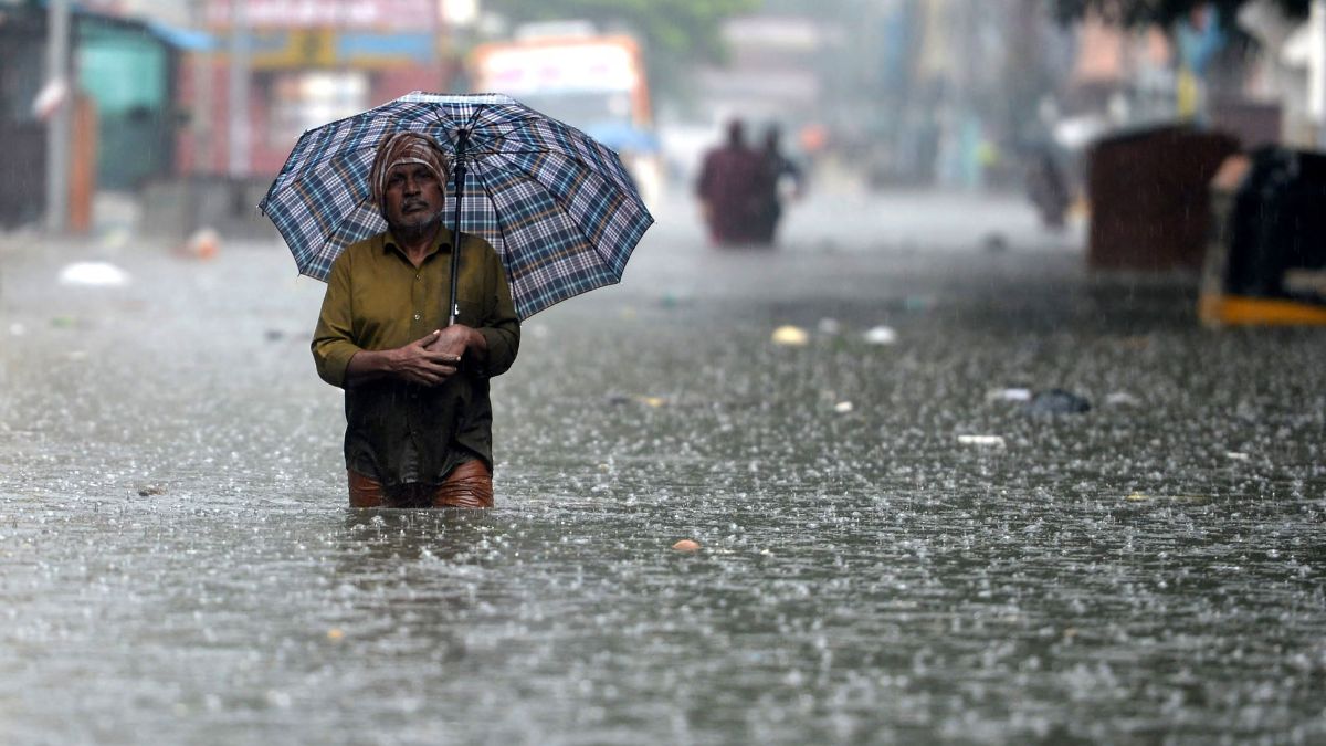 Rainy Season Is Being Seen In Many Districts Of Uttar Pradesh