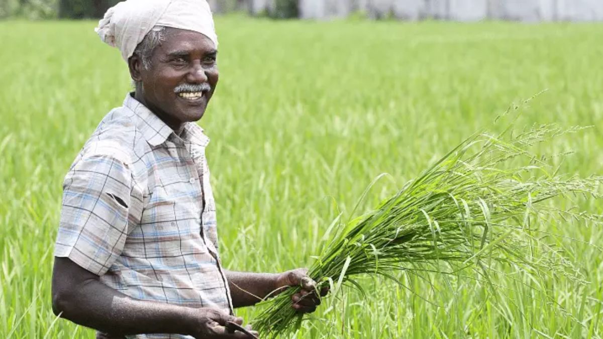 Uttar Pradesh Government Brought Great News For Farmers