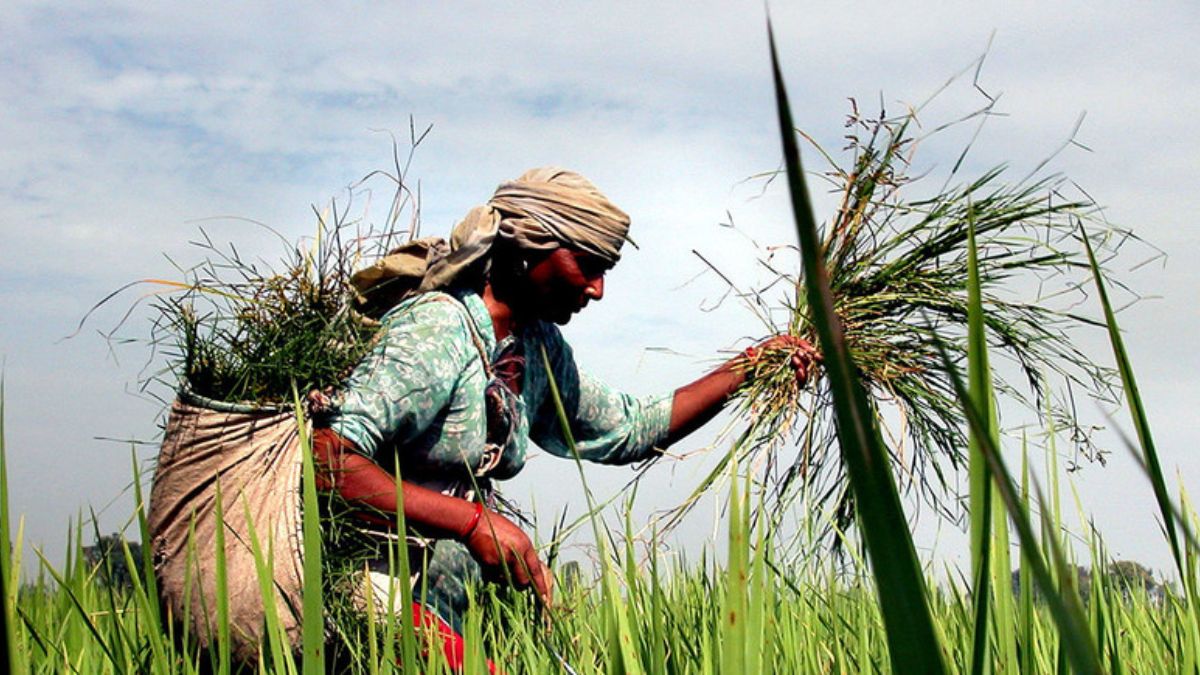 Farmers Of Uttar Pradesh Will Get A Big Gift